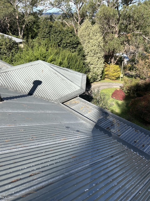 Gutter Guard Installation — Bowral