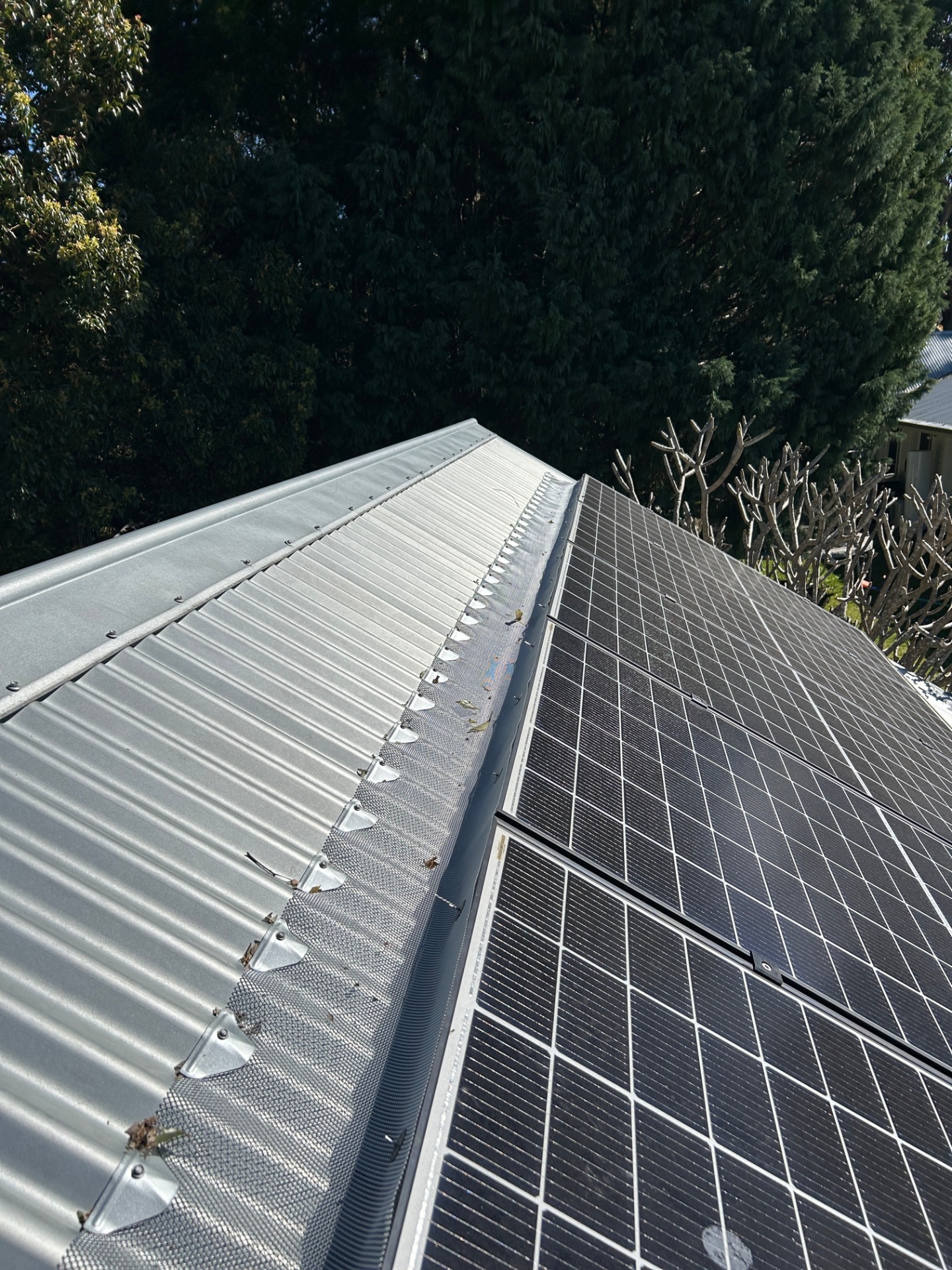Solar Panel Possum Proofing — Berry