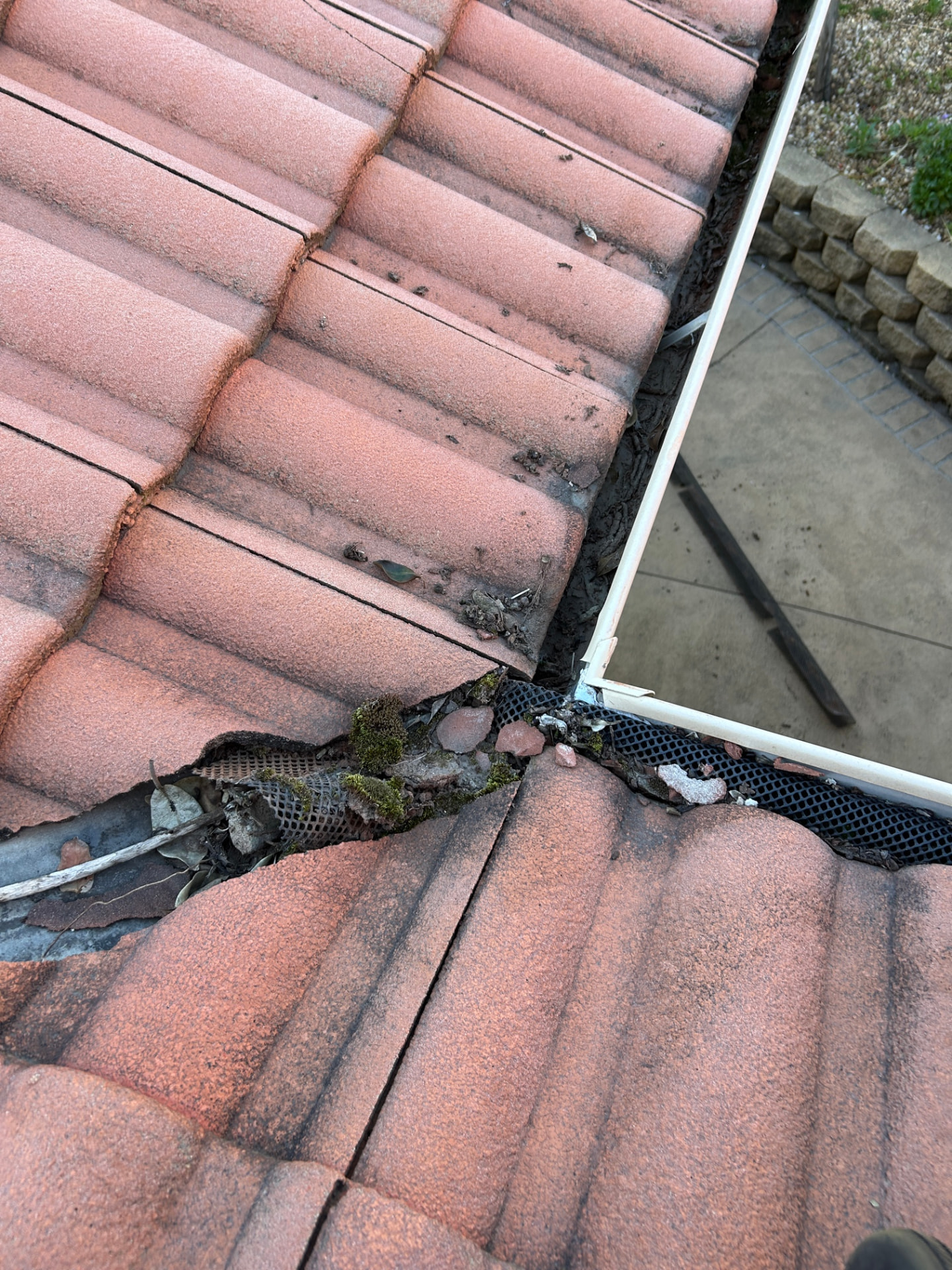 Old Plastic Gutter Mesh Removal & Heavy Gutter Clean — Shell Cove