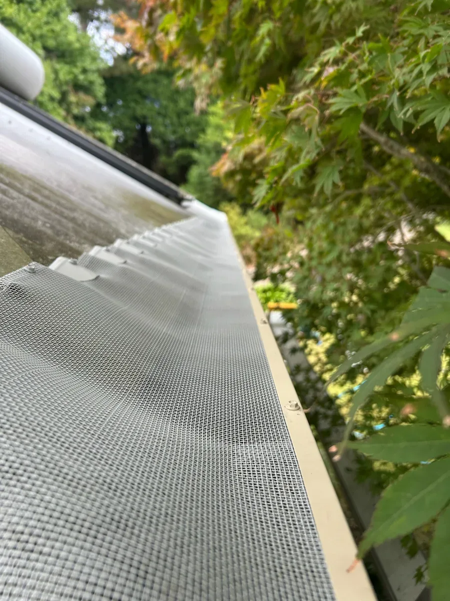 Metal ember mesh clamped along a gutter running beneath overhanging tree branches
